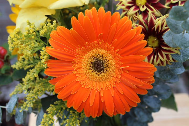 Un bouquet éclatant avec une gerbéra orange en gros plan, pétales lumineux captant la lumière.