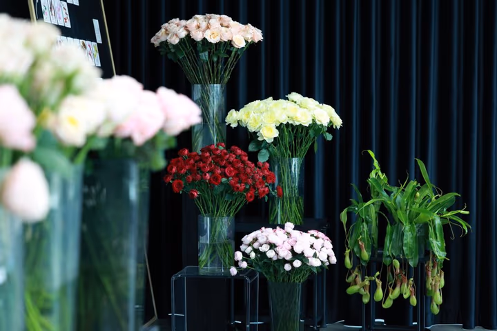 Prestation professionnelle — Commerce / Retail